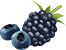black fruits