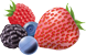 red-berries